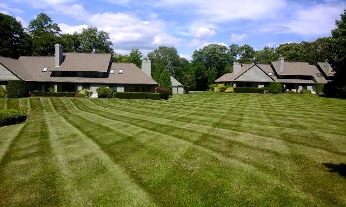 MarkHutch_Lawn_1503283_10205334861789368_8983884269302226652_n